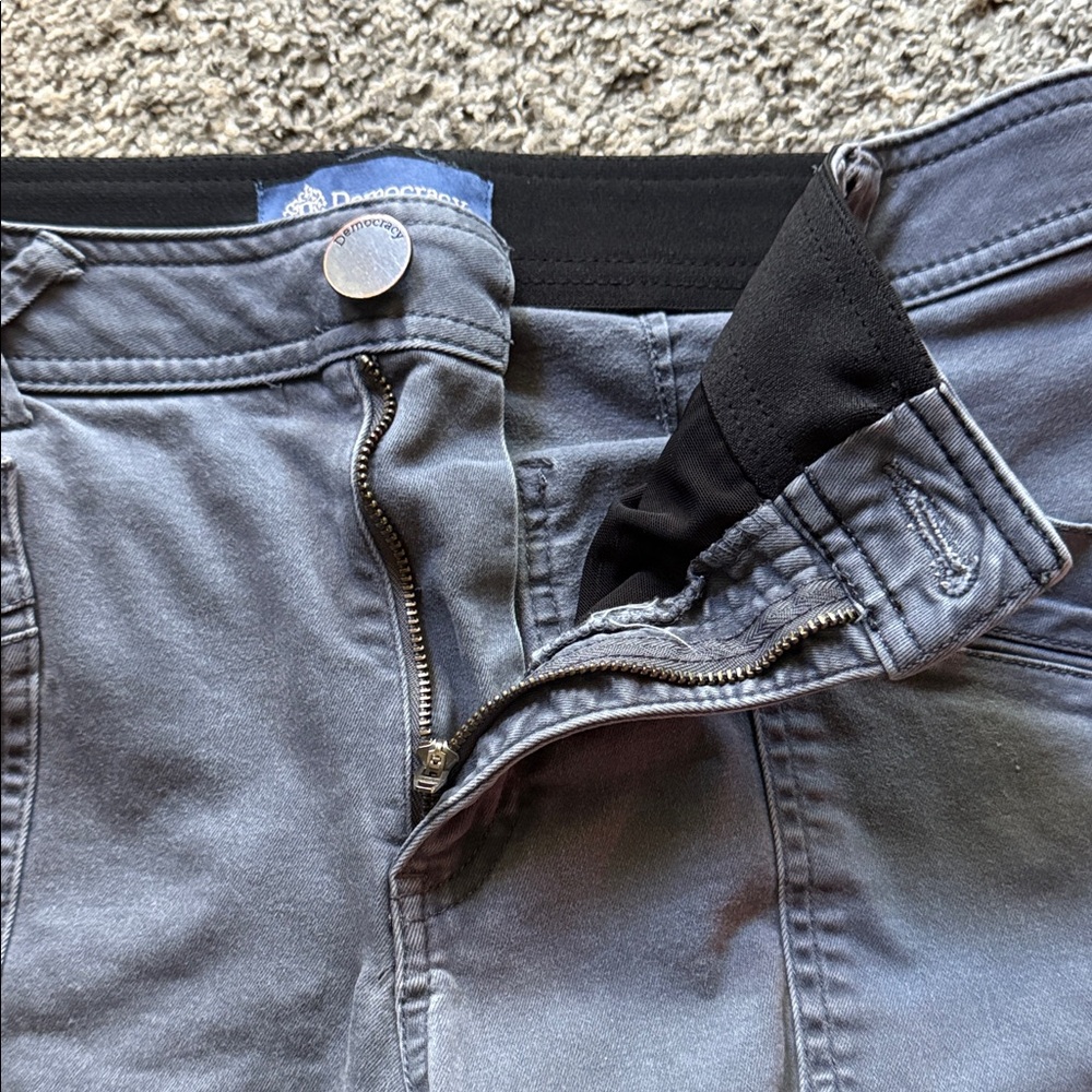 Democracy Absolution Gray Pants - image 8